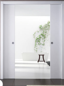 Contemporary Frameless Glass Panel Internal Double Pocket Door
